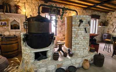 Wycieczka jednodniowa, Wycieczka Szlakiem Cypryjskich Winnic - Sterna Winiarnia