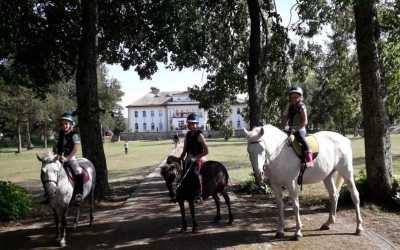 Wycieczka fakultatywna, Lazzy Horse (dla początkujących)