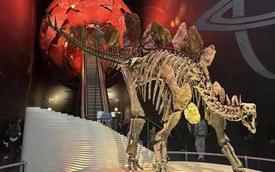 !tr_error=pl->oboz_mlodziezowy_zagraniczny!, Londyn - obóz turystyczno - językowy - wylot z Gdańska, 8 dni 13-19 lat